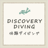 DISCOVERY DIVING